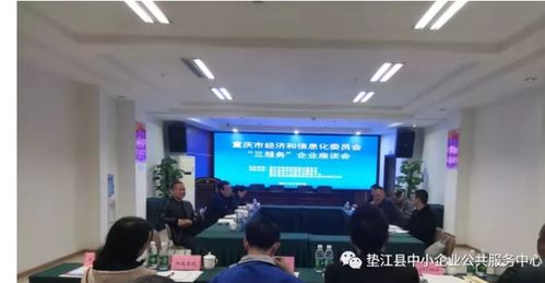 墊江召開企業(yè)座談會 重慶信息服務(wù)助力區(qū)縣發(fā)展，解讀市經(jīng)信委“三服務(wù)”新舉措
